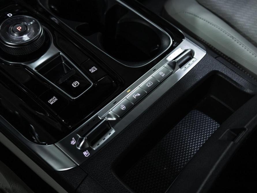 Kia Carnival IV Санкт-Петербург  - изображение 31
