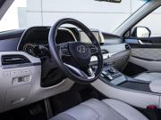 Hyundai Palisade I Москва  - изображение 37
