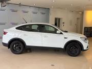 Renault Arkana I Москва  - изображение 21