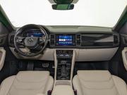 Skoda Kodiaq I Москва  - изображение 44
