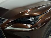 Lexus NX I Рестайлинг Вологда  - изображение 32