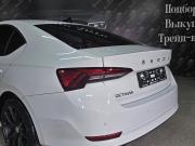 Skoda Octavia IV (A8) Краснодар  - изображение 50