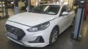 Hyundai Sonata VII (LF) Рестайлинг Санкт-Петербург  - изображение 7