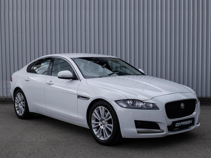Jaguar XF II Сочи  - изображение 1