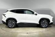 JETOUR DASHING I Саранск  - изображение 32