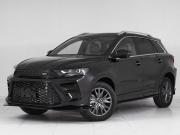 SWM G01F Москва  - изображение 21