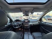 Mercedes-Benz GLS I (X166) Набережные Челны  - изображение 68