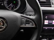 Skoda Octavia III (A7) Рестайлинг Владимир  - изображение 36