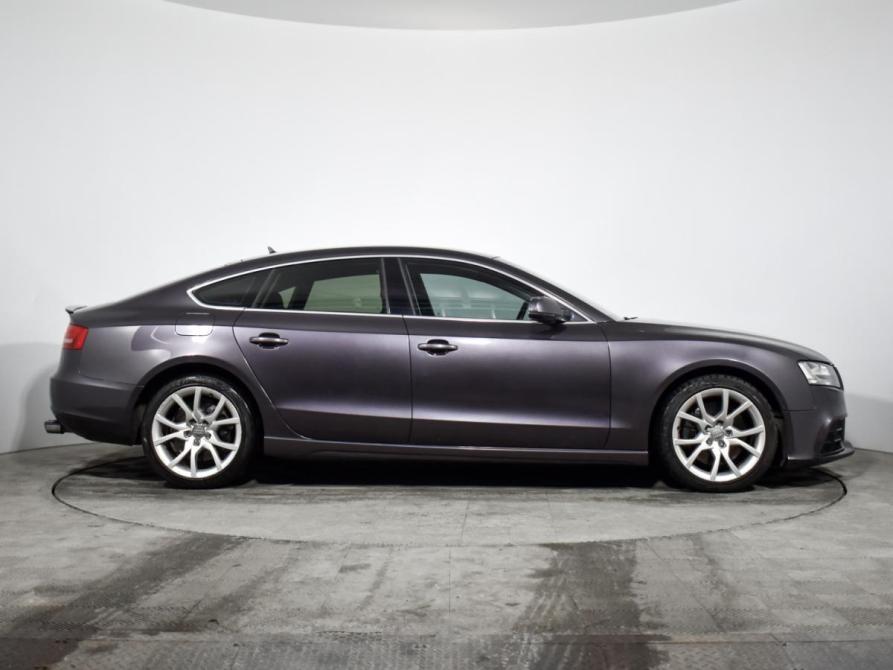 Audi A5 I (8T) Санкт-Петербург  - изображение 4