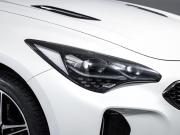 Kia Stinger I Рестайлинг Москва  - изображение 37