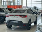 Renault Arkana I Оренбург  - изображение 38