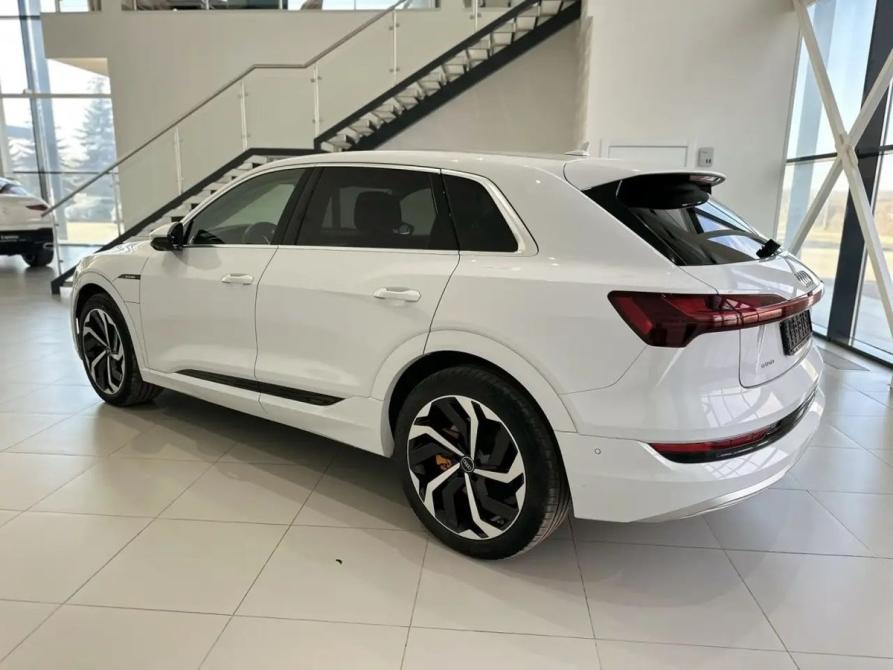 Audi e-tron I Владимир  - изображение 7