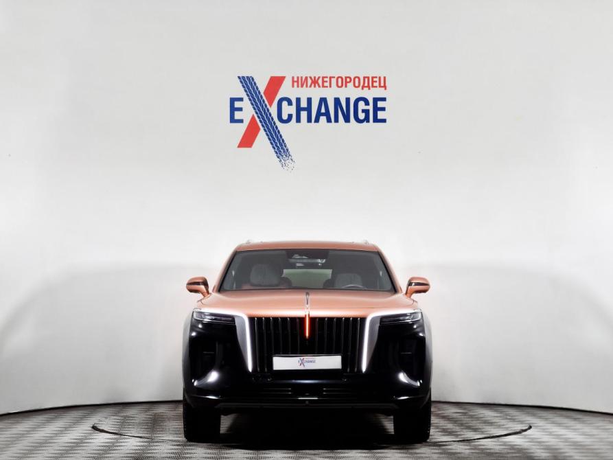 Hongqi E-HS9 Нижний Новгород  - изображение 2
