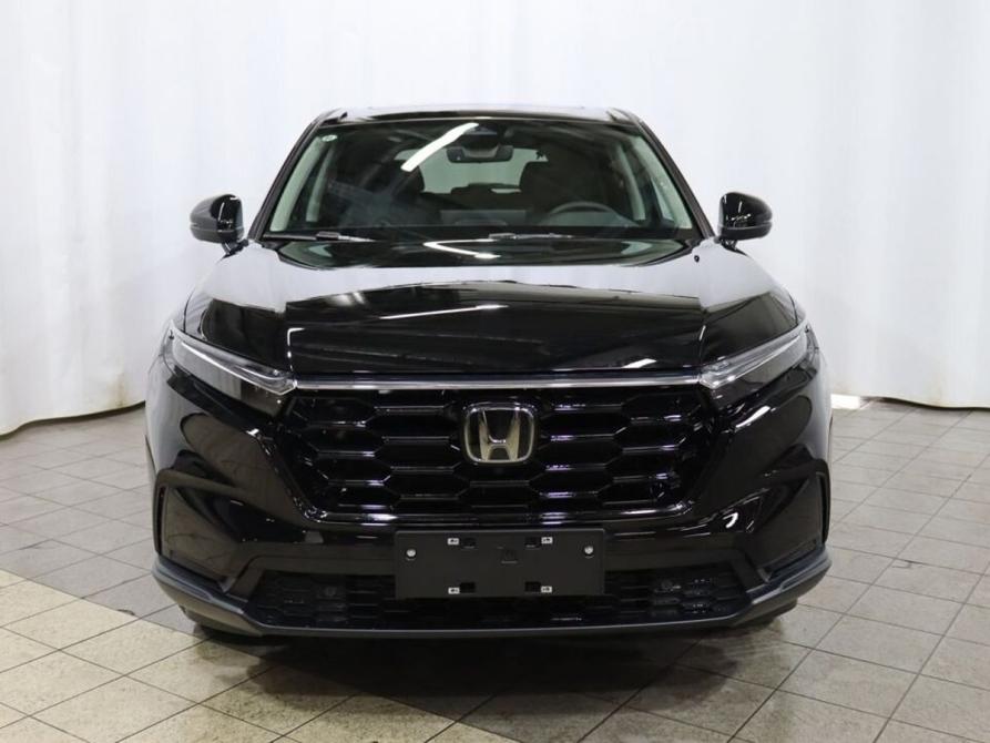 Honda CR-V VI Москва  - изображение 2