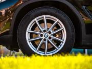 BMW X4 II (G02) Магнитогорск  - изображение 35