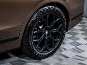 BMW X7 I (G07) Москва  - изображение 41