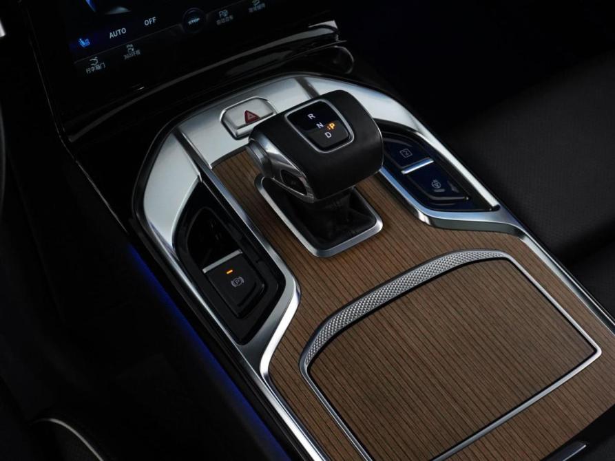 Hongqi E-HS9 Москва  - изображение 22