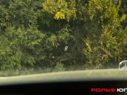 Mercedes-Benz S-Класс VII (W223) Москва  - изображение 53