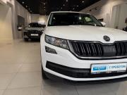 Skoda Kodiaq I Москва  - изображение 28