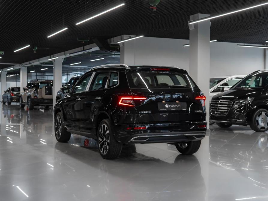 Skoda Karoq I Москва  - изображение 4
