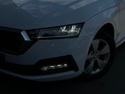 Skoda Octavia IV (A8) Санкт-Петербург  - изображение 49