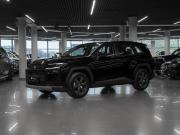 Toyota RAV4 VI (XA60) Москва  - изображение 27