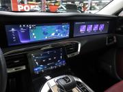Hongqi E-HS9 Москва  - изображение 52