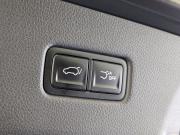 Kia Carnival IV Москва  - изображение 56