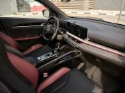 Geely Coolray I Рестайлинг Казань  - изображение 19