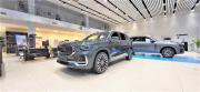 Geely Monjaro I Рестайлинг Саратов  - изображение 17