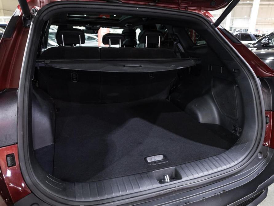 Kia Sportage V Санкт-Петербург  - изображение 31