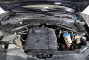 Audi Q5 I (8R) Нижний Новгород  - изображение 48