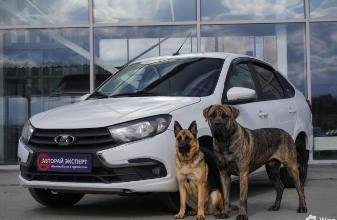 Lada (ВАЗ) Granta I Рестайлинг с пробегом 2023 года, цена 750 000 рублей, 49307 км, лифтбек, Автокод Объявления