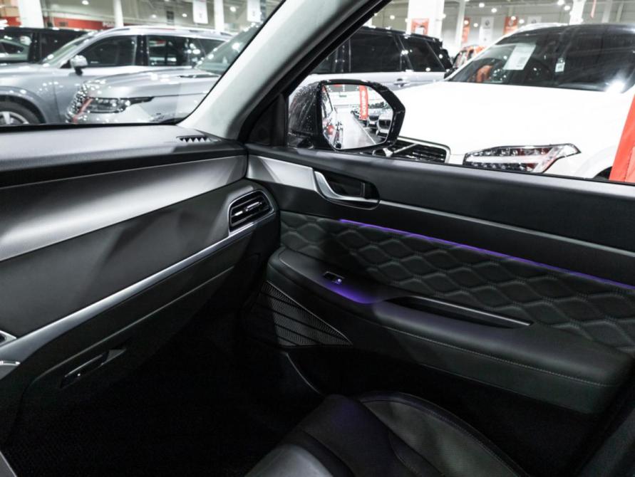 Hyundai Palisade I Санкт-Петербург  - изображение 18