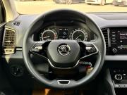 Skoda Karoq I Ижевск  - изображение 62