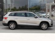 Skoda Kodiaq I Новосибирск  - изображение 24