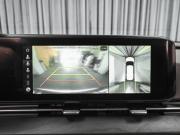Kia Carnival IV Ставрополь  - изображение 52