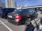 Skoda Octavia III (A7) Рестайлинг Санкт-Петербург  - изображение 6