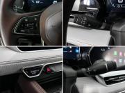 Geely Monjaro I Ногинск  - изображение 51