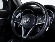 Alfa Romeo Stelvio I Москва  - изображение 38