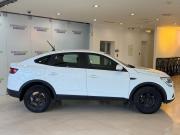 Renault Arkana I Москва  - изображение 21