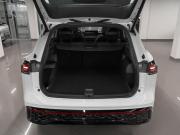 Volkswagen Tiguan III (China Market) Москва  - изображение 62