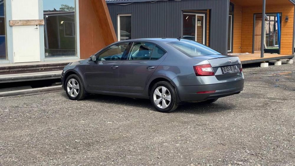 Skoda Octavia III (A7) Рестайлинг Санкт-Петербург  - изображение 6