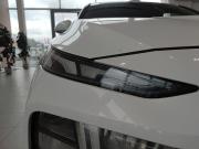 Hyundai Santa Fe IV Рестайлинг Уфа  - изображение 43