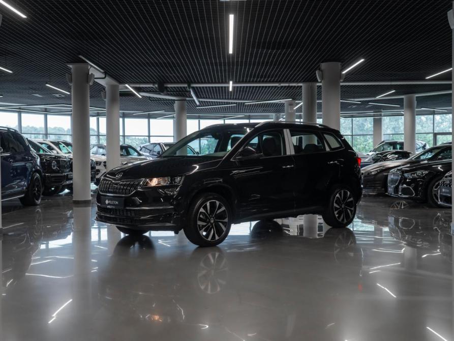 Skoda Karoq I Москва  - изображение 1