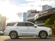Hyundai Palisade I Москва  - изображение 33