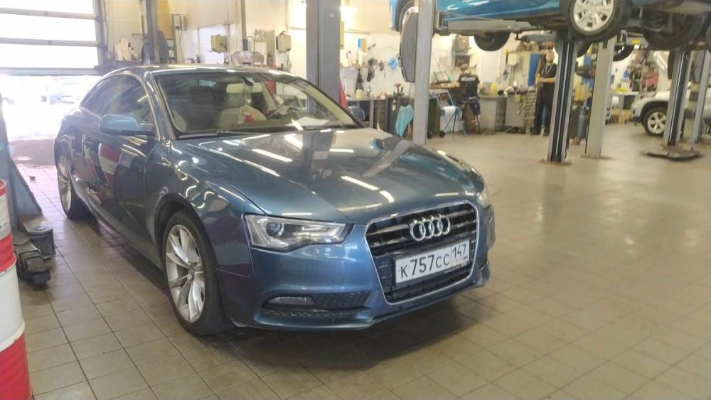 Audi A5 I (8T) Рестайлинг Санкт-Петербург  - изображение 2