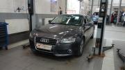 Audi A5 I (8T) Санкт-Петербург  - изображение 8
