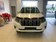 Toyota Land Cruiser Prado 150 Series Рестайлинг 2 Челябинск  - изображение 28