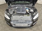Audi A5 II (F5) Москва  - изображение 31